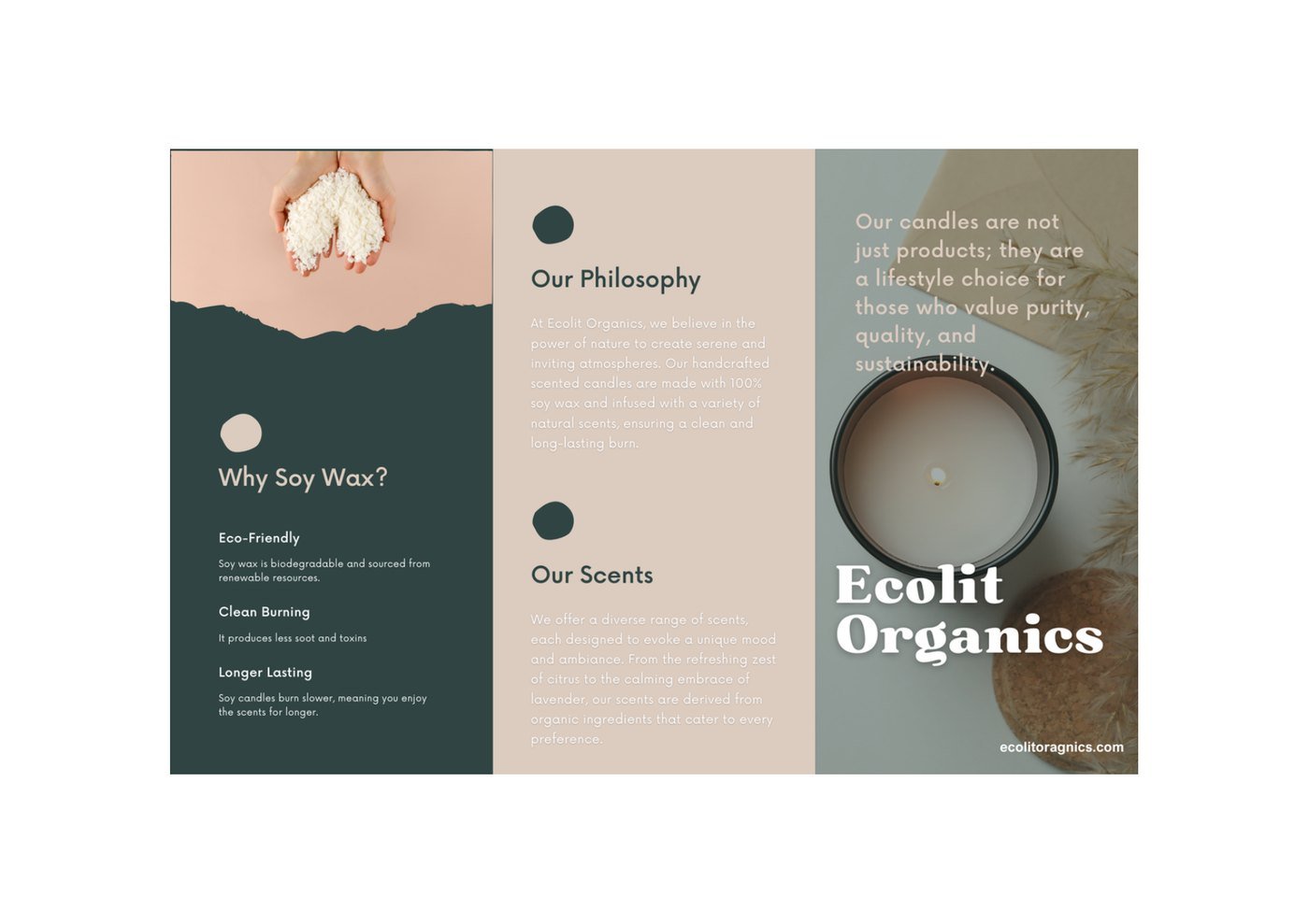 Ecolit Organics brochure inside — brand story